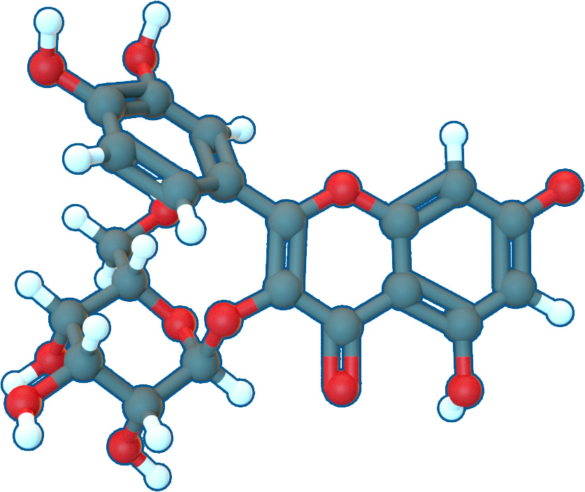 Image of Hyperoside | C21H20O12 | Supreme Pharmatech
